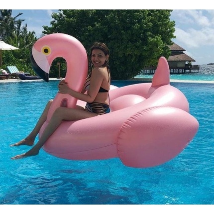 luftic flamingo 15