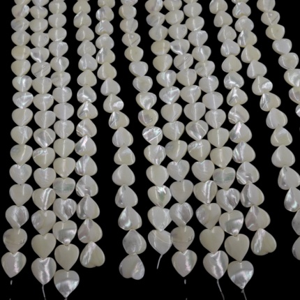 sedef školjka 39,5cm,15x15mm,8,13ili12x12,7,5