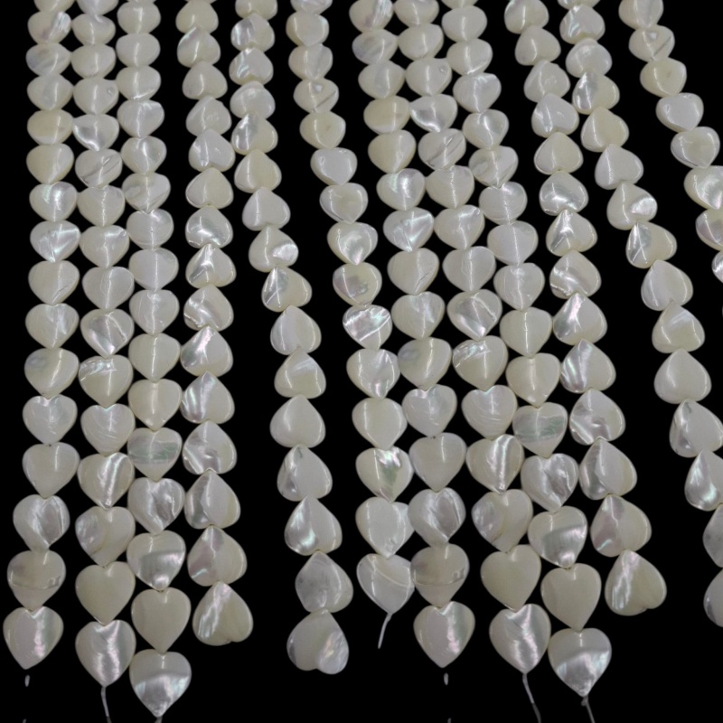 sedef školjka 39,5cm,15x15mm,8,13ili12x12,7,5