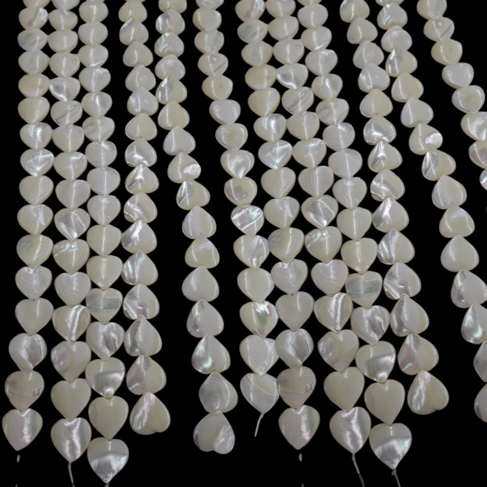 sedef školjka 39,5cm,15x15mm,8,13ili12x12,7,5 sedef školjka 39,5cm,15x15mm,8,13ili12x12,7,5
