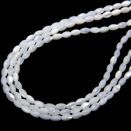 sedef školjka 39,5cm,6x11mm,6,25