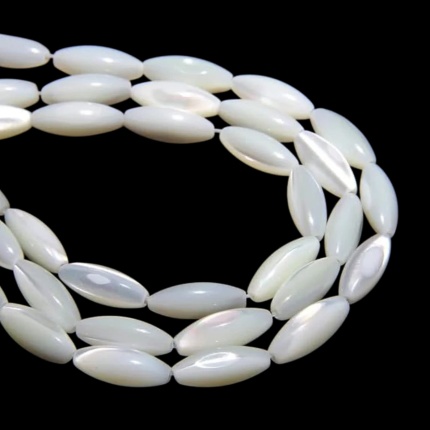 sedef školjka 39,5cm,6x15mm,6,25