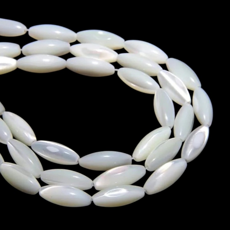 sedef školjka 39,5cm,6x15mm,6,25