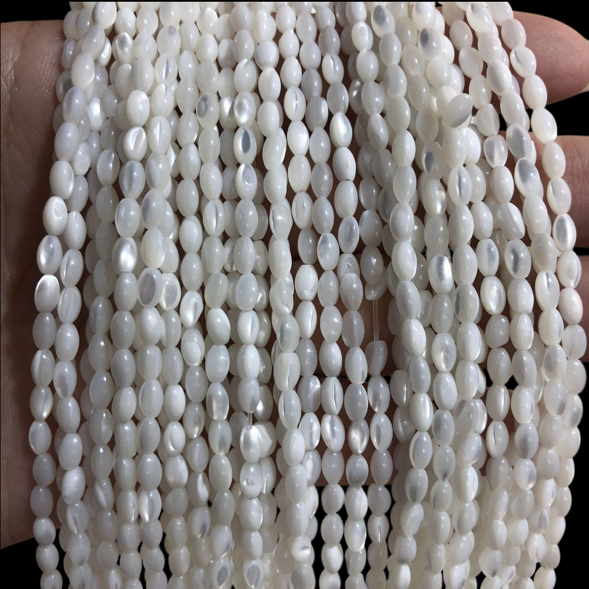sedef školjka 40cm,3x5mm,6,25 sedef školjka 40cm,3x5mm,6,25